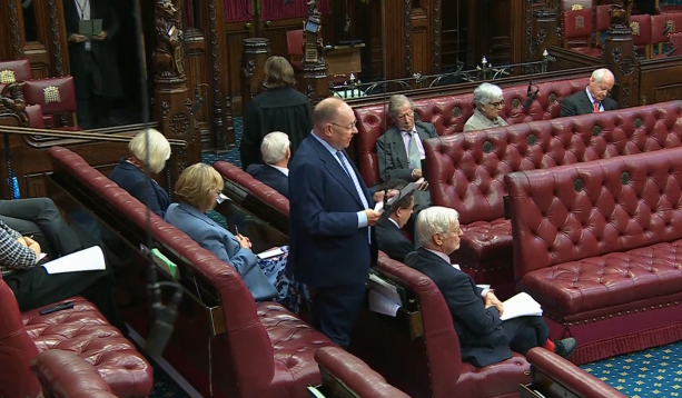 Lord Rennard in the House of Lords speaking at the Representation of the People Bill